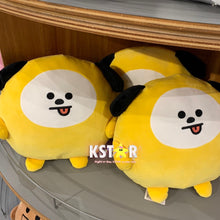 [LINE X BT21] PongPong Cushion