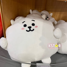 [LINE X BT21] PongPong Cushion