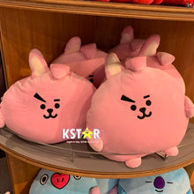 [LINE X BT21] PongPong Cushion