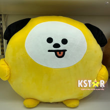 [LINE X BT21] PongPong Cushion