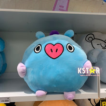 [LINE X BT21] PongPong Cushion
