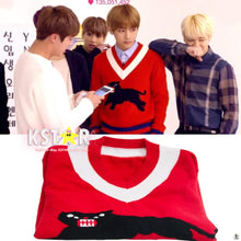 Taehyung's Style Red Sweater