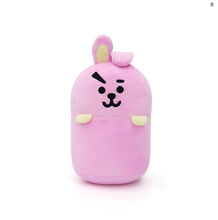 [NARA HOME DECO X BT21] Capsule Cushion