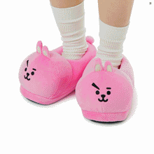 [LINE X BT21] Plush Slippers