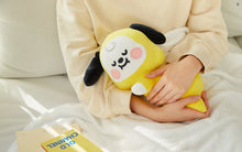[LINE X BT21] Baby Mini Pillow Cushion