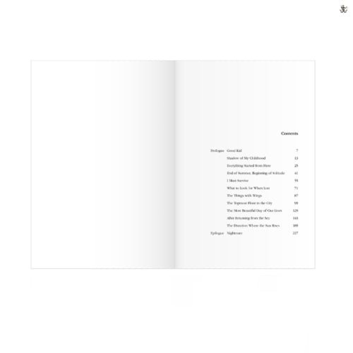[BIG HIT] BTS -The Most Beautiful Moment in Life: The Notes 1 (Korean, English, Japanese Ver + Free Shipping.) - K-STAR