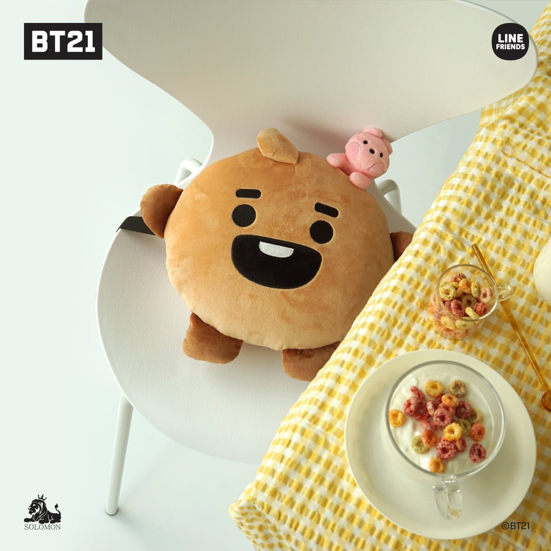 BT21 JAPAN My Little Buddy Face Cushion 40cm - K-STAR
