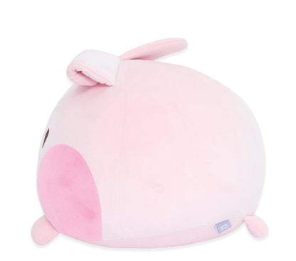 BT21 Minini Official Round Cushion - K-STAR
