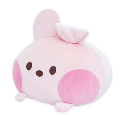 BT21 Minini Official Round Cushion - K-STAR