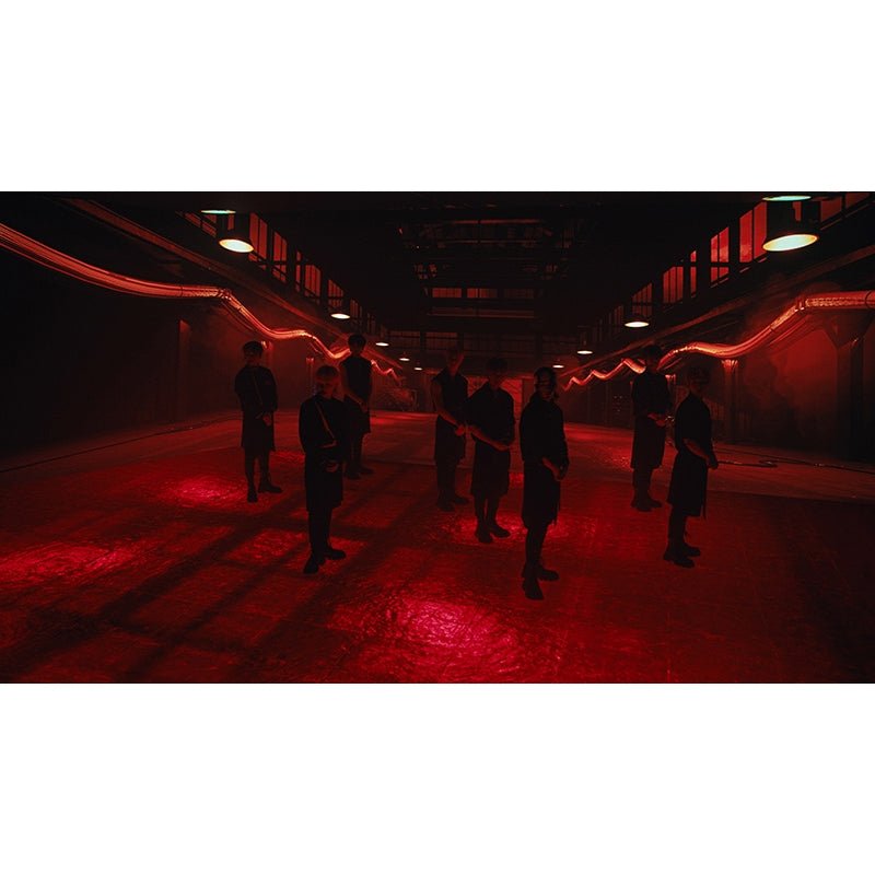 D'FESTA THE MOVIE : STRAY KIDS ( DVD / BLU-RAY ) - K-STAR