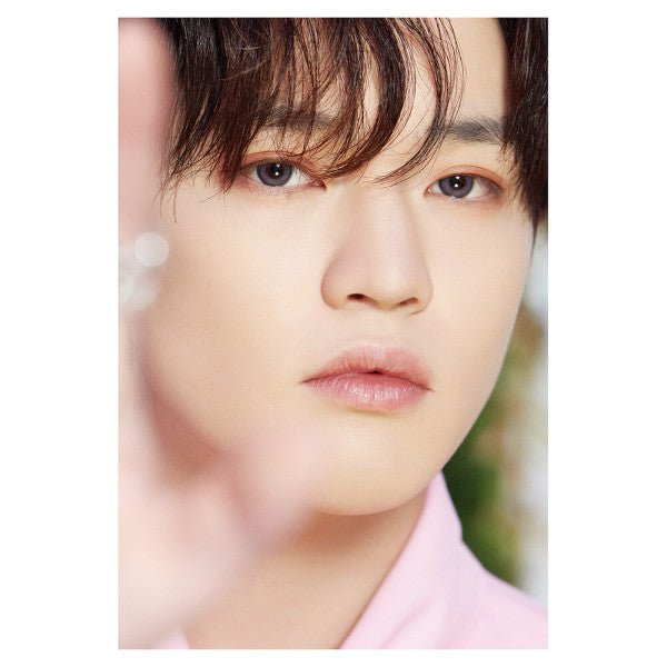 DICON D’FESTA NCT DREAM : Dispatch 10th Anniversary Special Photobook Lenticular Cover + Deco Book (You Can Choose Member) - K-STAR