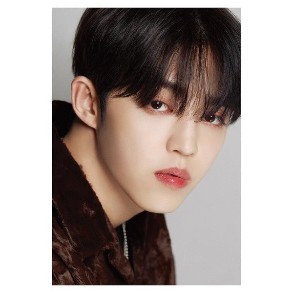 DICON D’FESTA SEVENTEEN - Dispatch 10th Anniversary Special Photobook Lenticular Cover + Deco Book (You Can Choose Member) - K-STAR