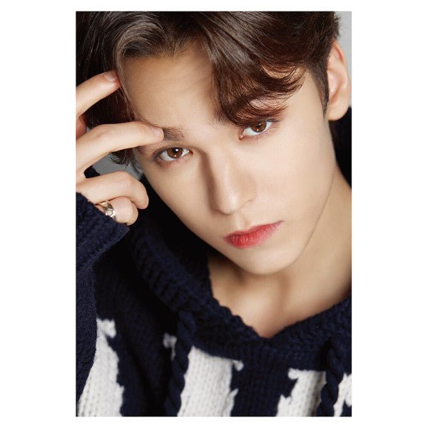 DICON D'FESTA SEVENTEEN - Dispatch 10th Anniversary Special
