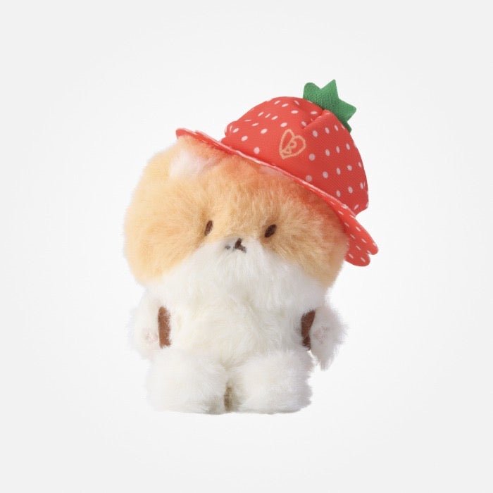 EXO BAEKHYUN - TEOLAEGI ZIPDURI 1st Official MD - K-STAR