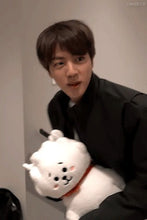 [LINE X BT21] OFFICIAL RJ Standing Doll Medium Size