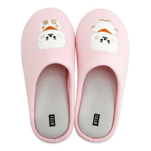 [LINE X BT21] Official Baby Indoor Slippers