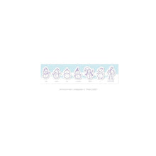 BTS Official Winter Package 2021 in Gangwon (Free Shipping)