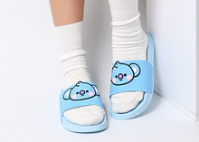 [LINE X BT21] Bebe Slippers