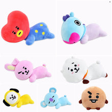 [LINE X BT21] Sweet Dream Cushion
