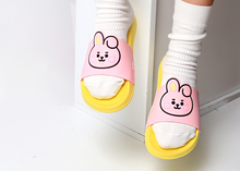 [LINE X BT21] Bebe Slippers