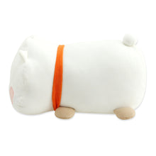 [LINE X BT21] Official Baby Honey Sleep Cushion
