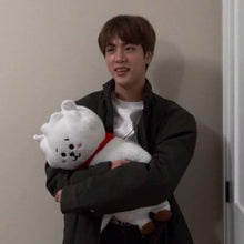 [LINE X BT21] OFFICIAL RJ Standing Doll Medium Size