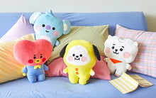 [LINE X BT21] Baby Hug Me Cushion