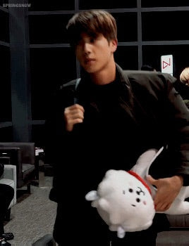 [LINE X BT21] OFFICIAL RJ Standing Doll Medium Size