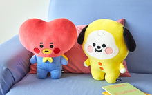 [LINE X BT21] Baby Hug Me Cushion