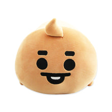 [LINE X BT21] Official Baby Honey Sleep Cushion