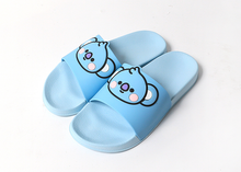 [LINE X BT21] Bebe Slippers