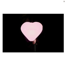 BLACKPINK Official Light Stick (Free Shipping)