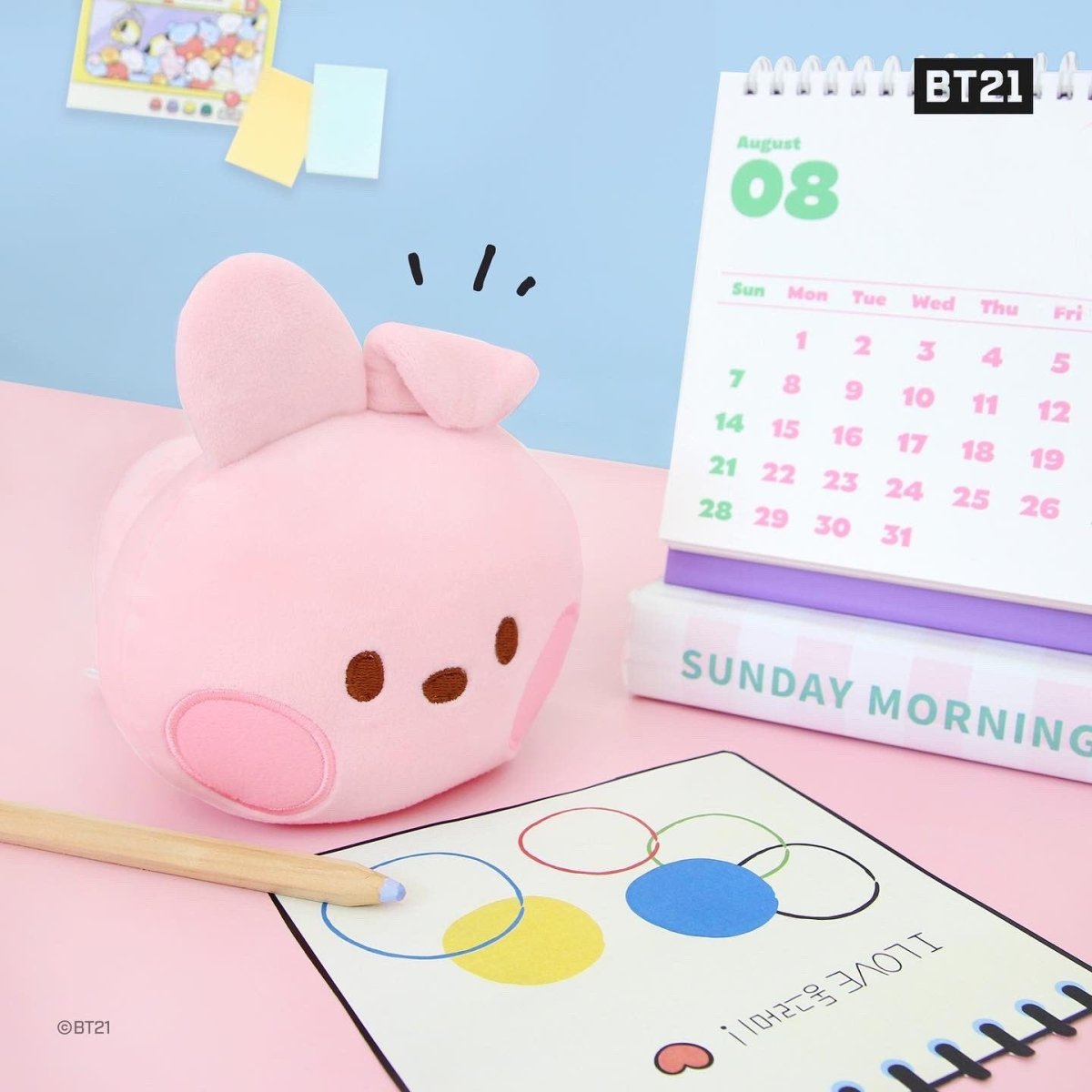 [LINE X BT21] BT21 Minini Petite Cushion - K-STAR