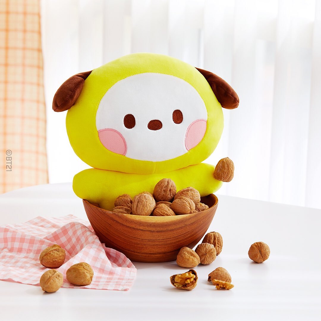 [LINE X BT21] BT21 Official Minini Flat Cushion - K-STAR