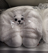 [LINE X BT21] Travel Pillow with Hood (Free Shipping)