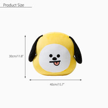 [LINE x BT21] BT21 Cushion/Pillow (Free Shipping)