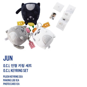 SEVENTEEN OFFICIAL ARTIST MADE COLLECTION : JUN - K-STAR