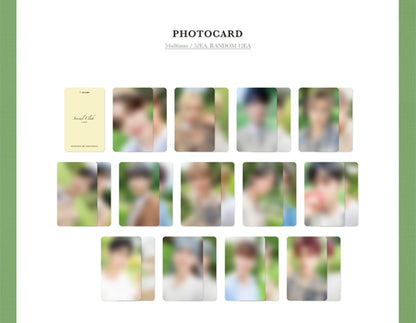 SEVENTEEN Official Photobook Social : CARAT SET - K-STAR