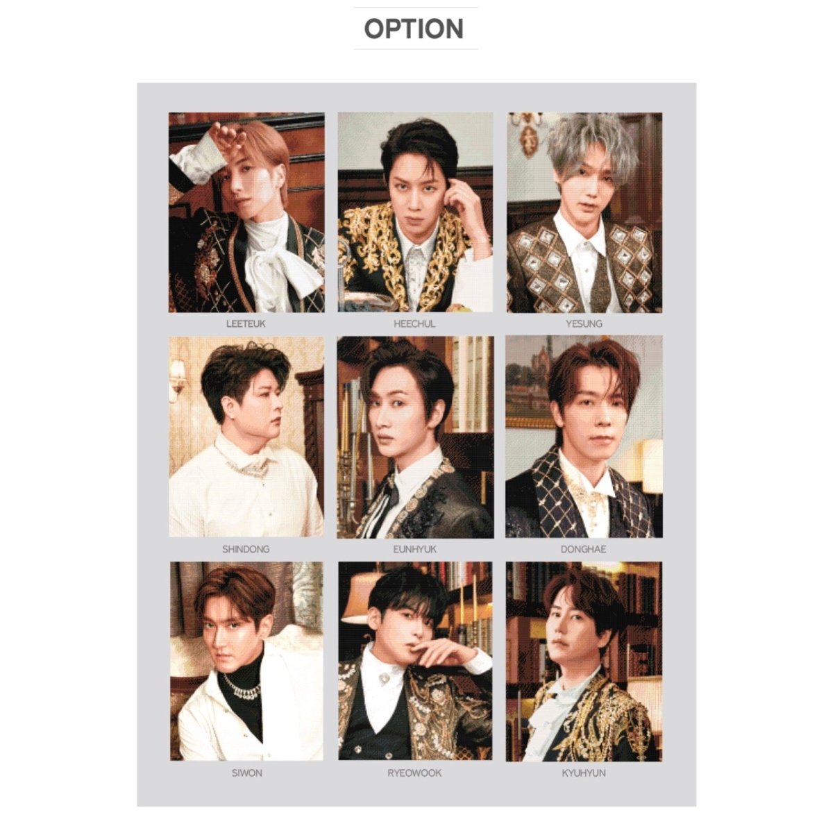 SMTOWN] Super Junior The Renaissance Official DIY Cubic Painting +