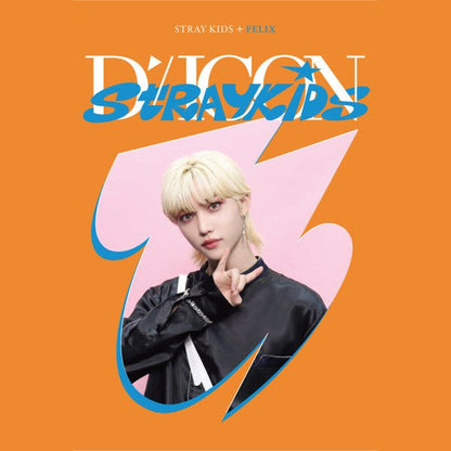 STRAY KIDS - DICON DFESTA MINI EDITION - K-STAR