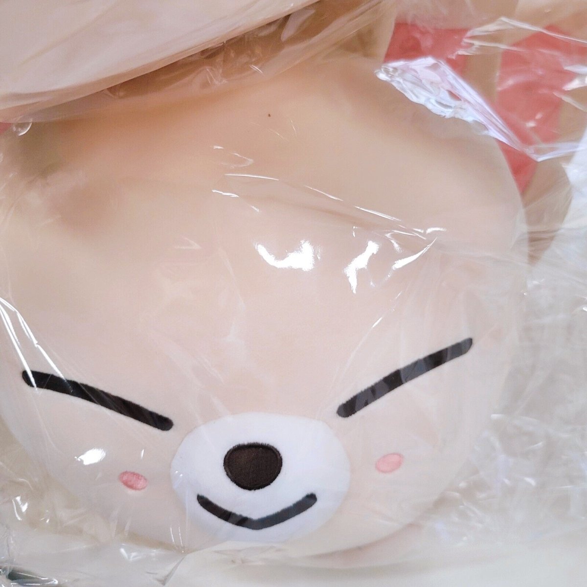 STRAY KIDS x SKZOO Pop-Up Store Official Plush Cushion – K-STAR