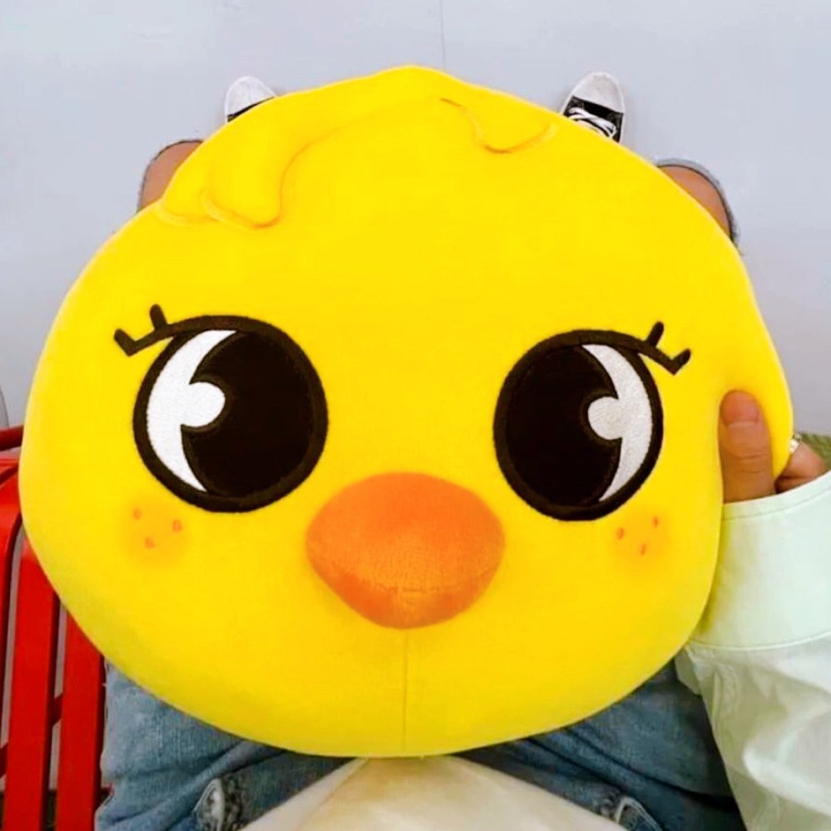 STRAY KIDS x SKZOO Pop-Up Store Official Plush Cushion - K-STAR