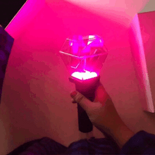 NU'EST W Official Light Stick (Free Shipping)