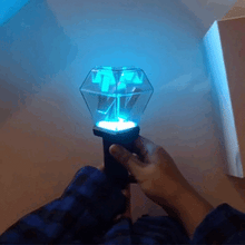 NU'EST W Official Light Stick (Free Shipping)