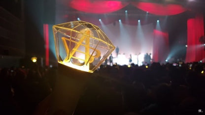 BoA Official Lightstick